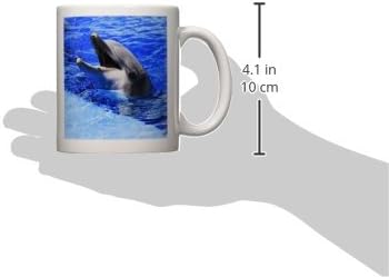 3. Делфин с отворена уста в Океанографическом аквариума във Валенсия, Испания Керамична чаша, 11 грама