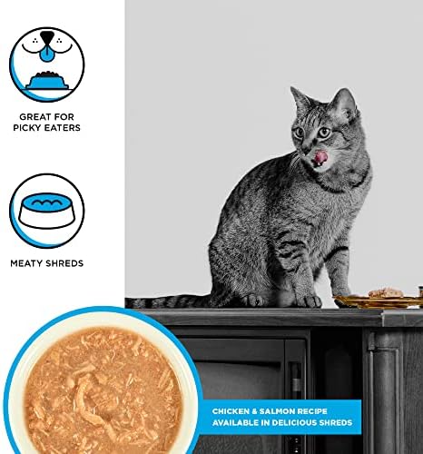 Влажна храна BIXBI Rawbble за котки с парчета пиле и тиква в бульон 2,75 грама (опаковка от 24 броя)