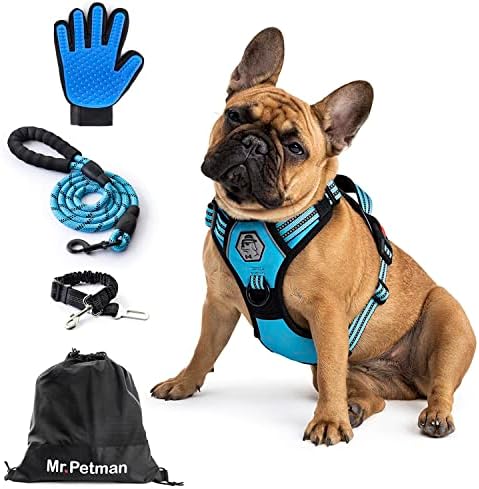MR. PETMAN Шлейка за кучета No Pull с каишка с колан, медицински ръкавици за грижа - Комплект колан за кучета No
