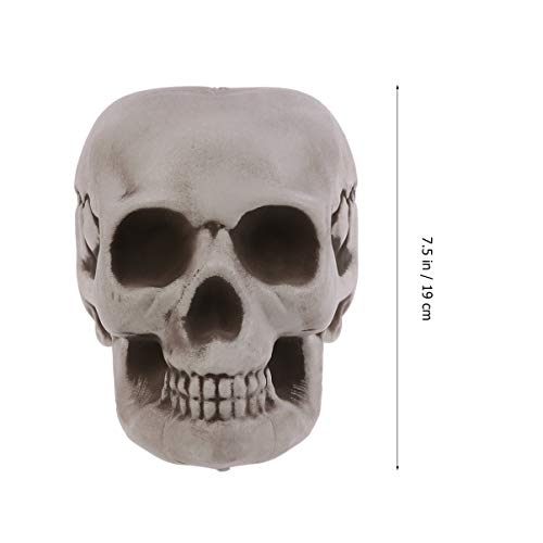 ABOOFAN 2 бр Хелоуин Скелети на Хелоуин Череп Глава Модел на Костите на Черепа Украса на Главата Пластмаса Реалистичен Човек